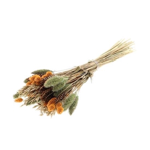 Bunch Dutch Grass Serene