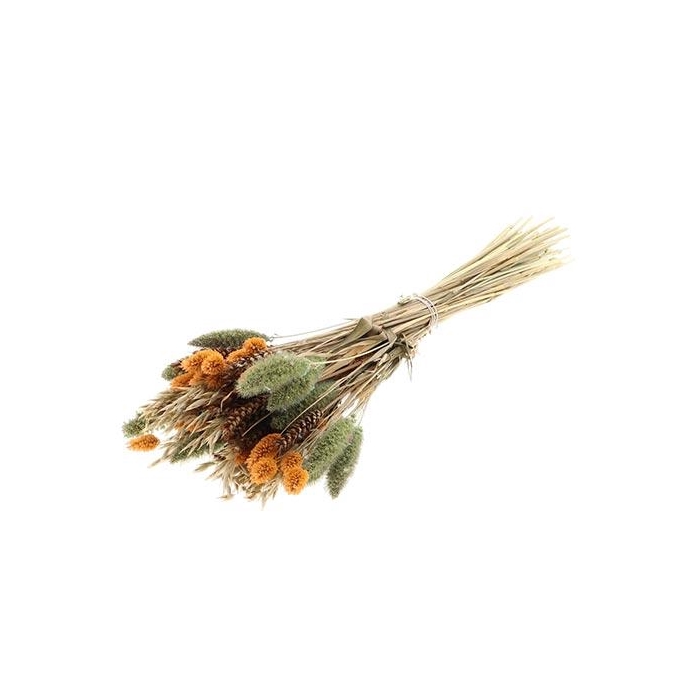 <h4>Bunch Dutch Grass Serene</h4>