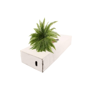 Umbrella Paraplu Fern