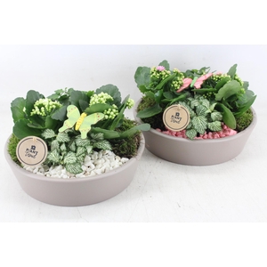 arr2 PL - Ker. schaal 25cm taupe - roze/wit