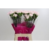 Dianthus St Yukari Cherry