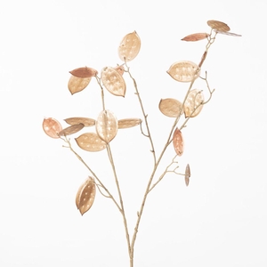 AF Lunaria L93cm Brown