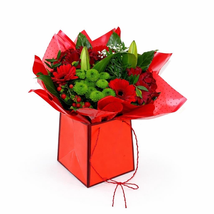 <h4>Aqua-Bulle Bieder in tas rood</h4>