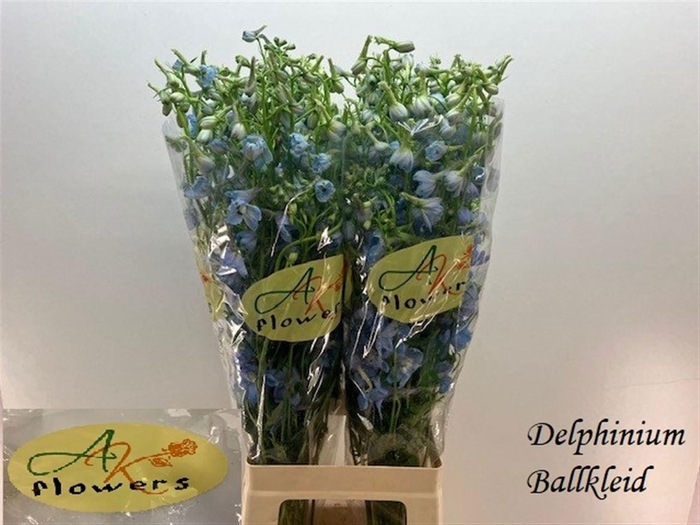 <h4>DELPH EN BALLKLEID</h4>