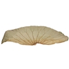 Droogdeco Lotus blad 45cm x10