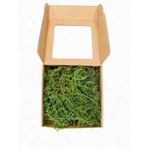Asparagus Naturel P Box