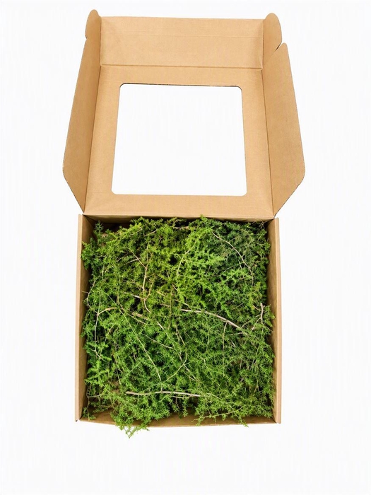 <h4>Asparagus Naturel P Box</h4>