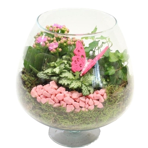 4428 COGNAC ROZE/WIT