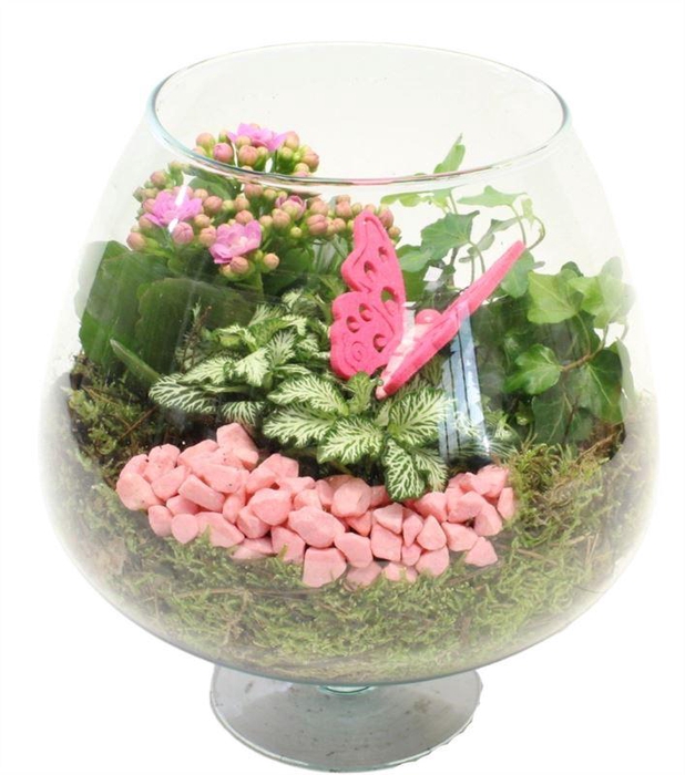 <h4>4428 COGNAC ROZE/WIT</h4>