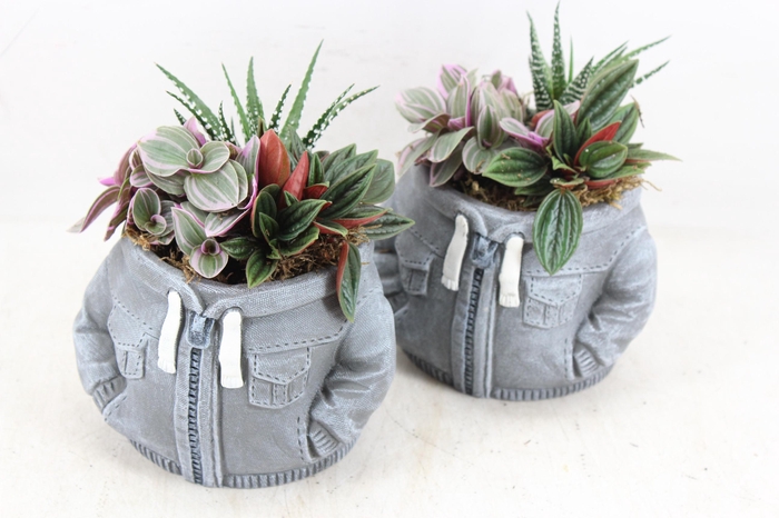 <h4>arr3 SN - Ker. hoodie grey</h4>