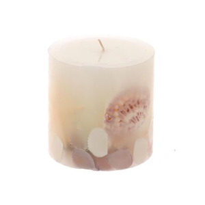 Candle Beach Shell H10d10