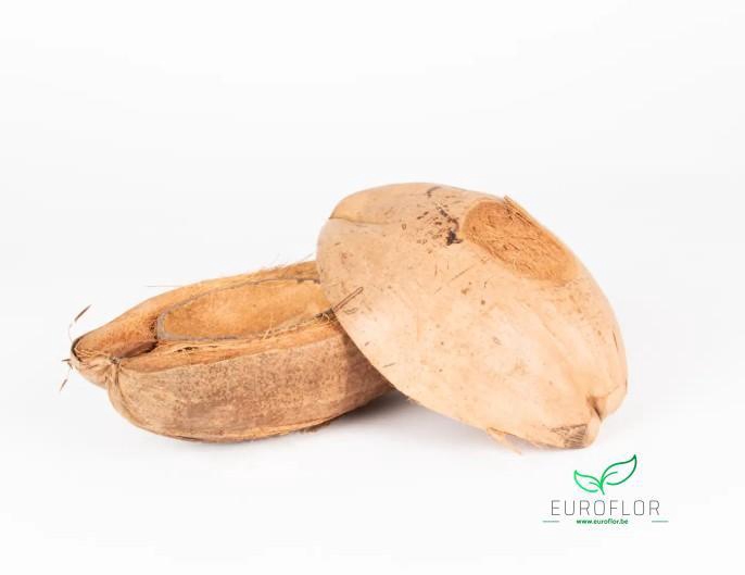 COCOSNOTEN HALF NATURAL 3PCS