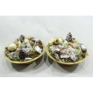 2583 Zink Goud Hyac+led