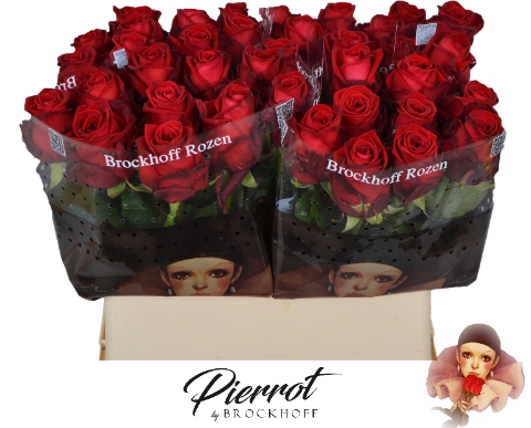 <h4>R GR RED NAOMI! Pierrot 80cm</h4>