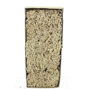 Dried Pepper Berries Bleached White
