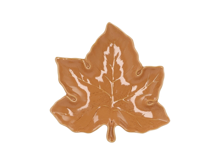 Leaf Maple Plate Brown 18x18x4cm