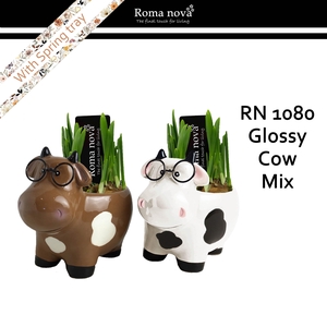 1080 - Glossy Cow mix (Tete a Tete)