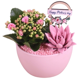 Mothersday Arr. Indoor Ceramic Bowl Round Pink Ø16cm 2PP
