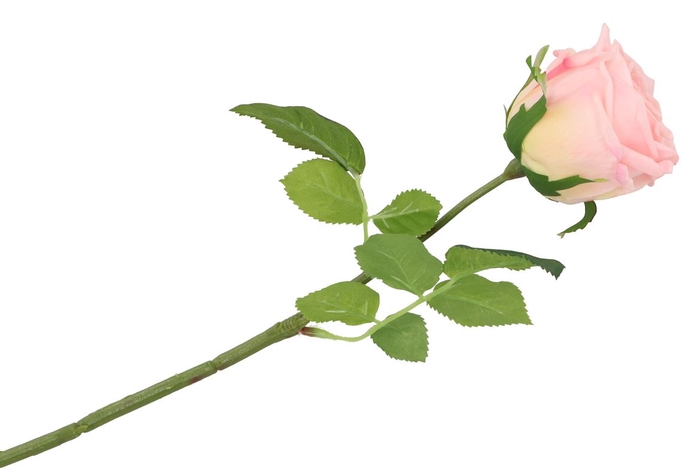 Silk Rose Real Touch Cream 43cm