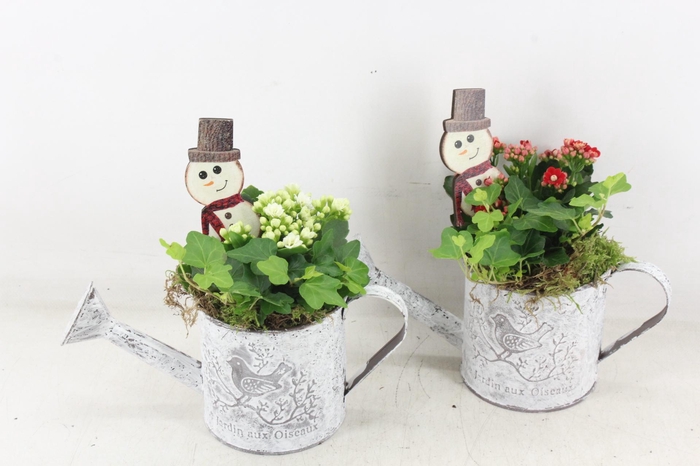 <h4>arr2 TD - Zink gieter - rood/wit</h4>