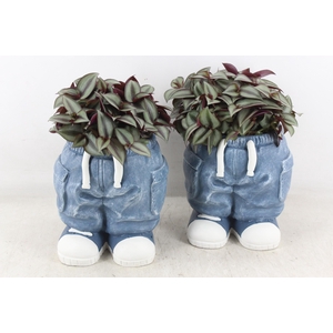 arr3 SN - Spijkerbroek staand 968/3