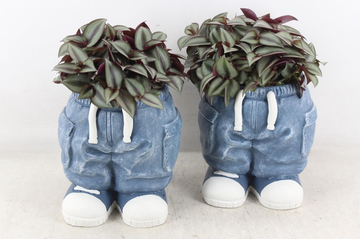 <h4>arr3 SN - Spijkerbroek staand 968/3</h4>