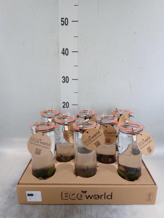 <h4>Arr.   Waterplanten H%</h4>