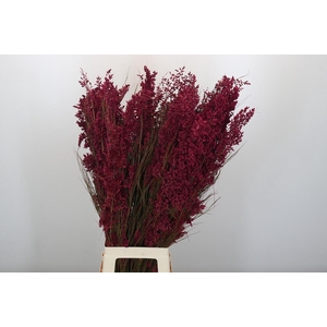 Bell Reed Male painted pink