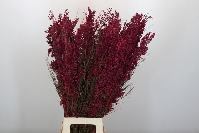 <h4>Bell Reed Male painted pink</h4>