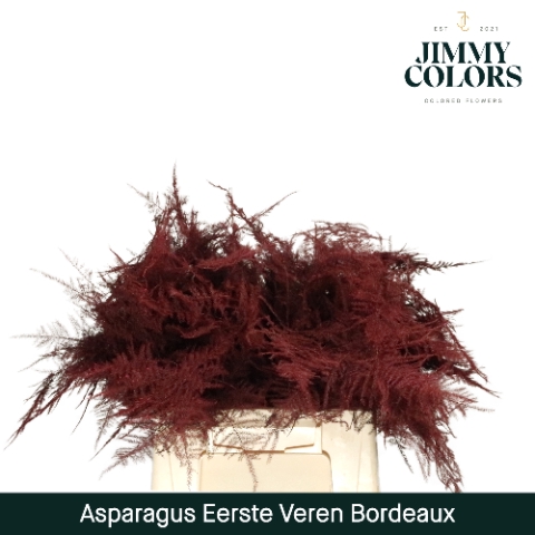 <h4>Asparagus 1ste Bordeaux</h4>