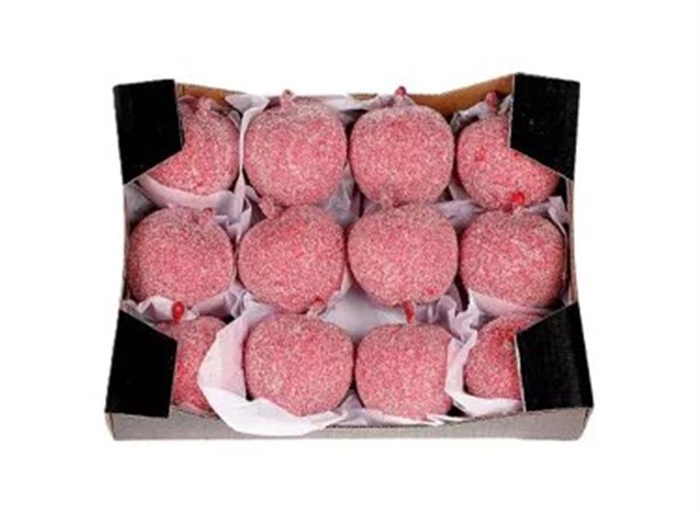 <h4>Deco Apple Karmijn Sugar H5d6</h4>