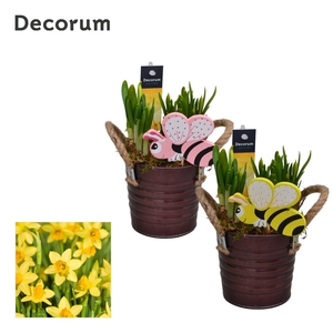 Narcis Copper Bucket GM HL15607