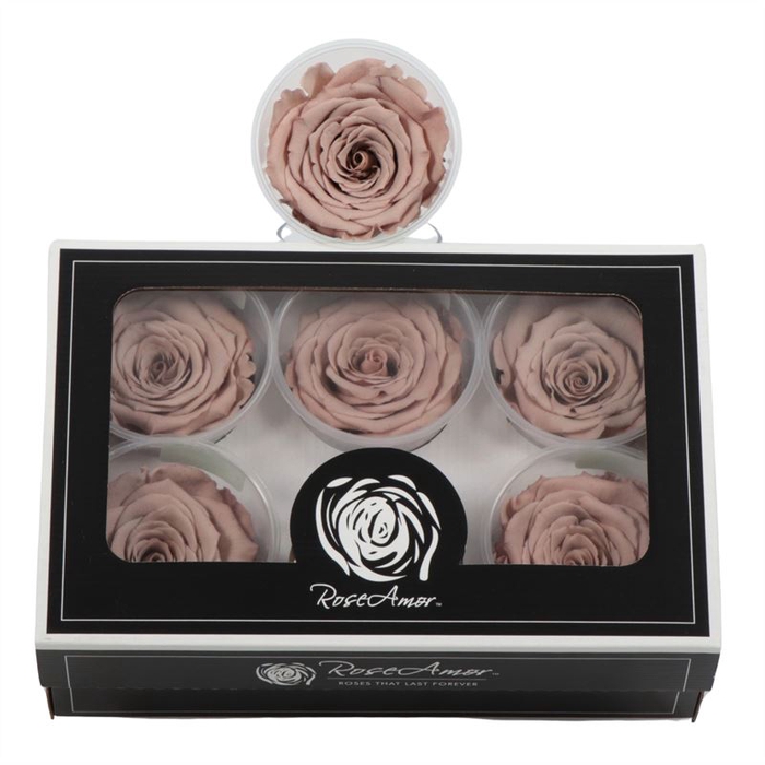 <h4>Rosa Preserved Ll Cho 89</h4>