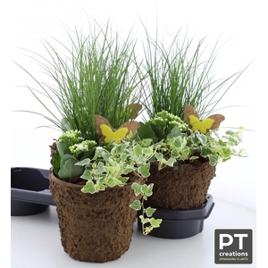ARR TUINPLANTEN