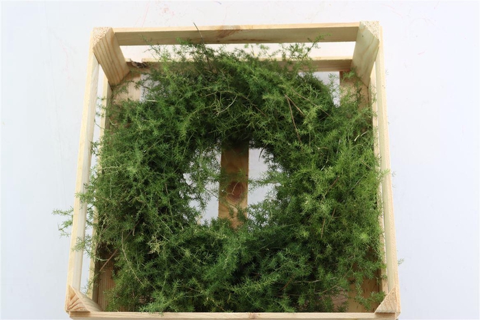Wr Asparagus Naturel 40cm