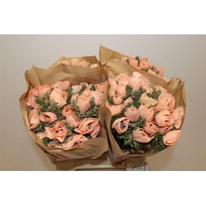 Anem Marianne Powder Orange