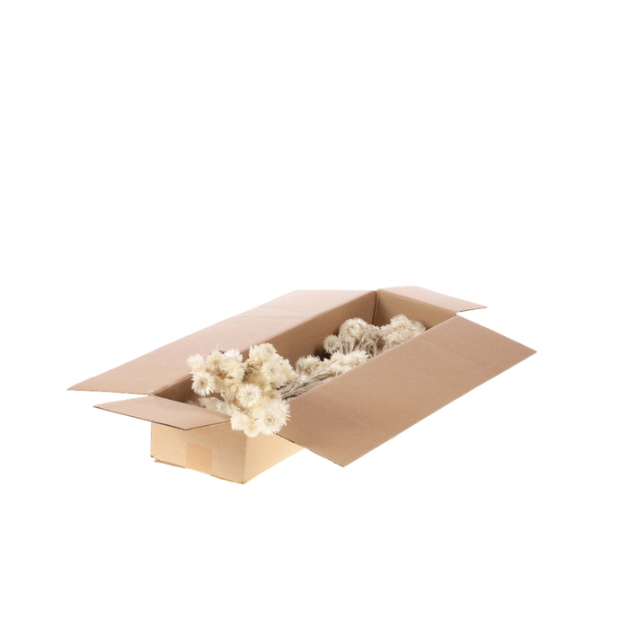 <h4>Helichrysum Vestitum Sb Natural</h4>