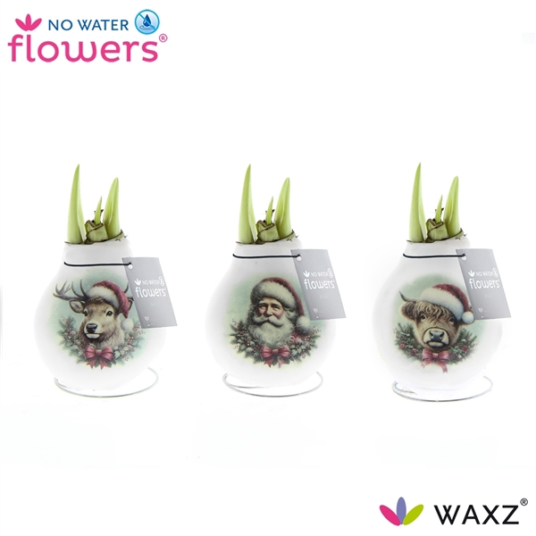 <h4>Hipp Waxz Craftz Santa & Friends</h4>