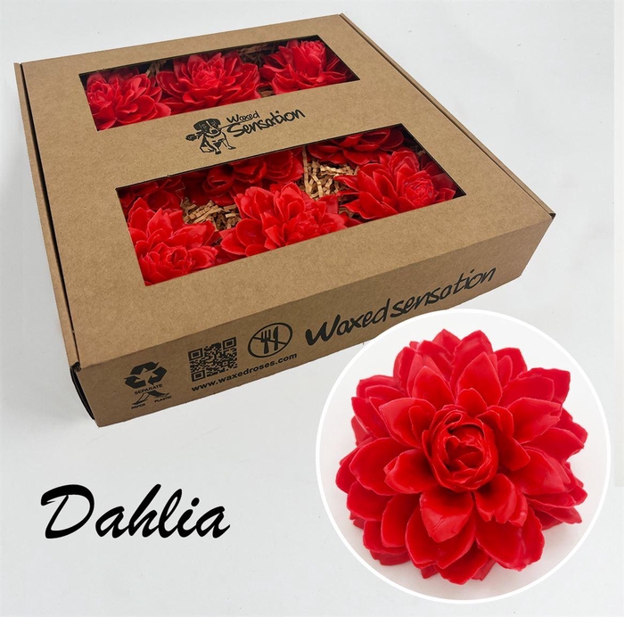 <h4>Zijde Dahlia Wx Rood</h4>
