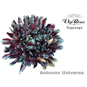 Chr G Antonov Universe