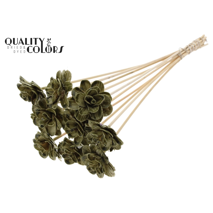 <h4>Beetal Rose 6cm on stem Wax Olive</h4>