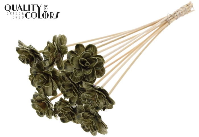 <h4>Beetal Rose 6cm on stem Wax Olive</h4>