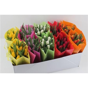 Boeket Tulp In Tas Mix (uni Kleur)