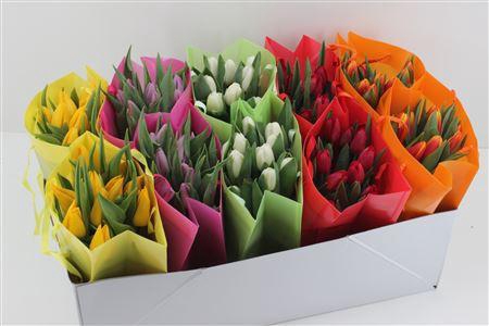 <h4>Boeket Tulp In Tas Mix (uni Kleur)</h4>