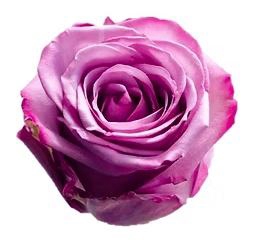 <h4>R GR COOL WATER!</h4>