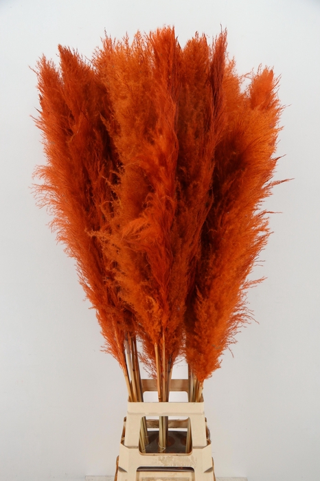 <h4>DROOGBL BEWERKT H%</h4>