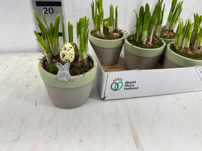 <h4>ARR N TETE A TETE</h4>