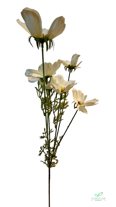 SILK FLOWERS - COSMOS SPRAY AEROSOL CREAM 79CM