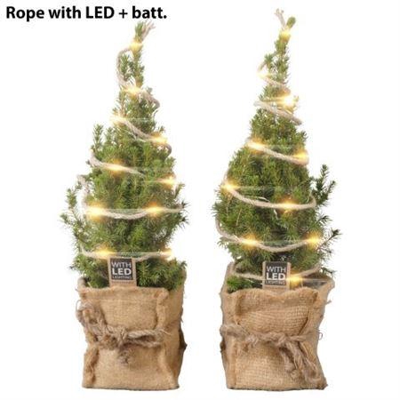 <h4>Picea Jutte Led Light</h4>