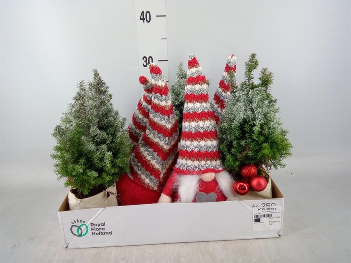 <h4>Arr. Kerst L%</h4>